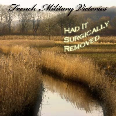 french-military-victories.jpg