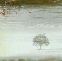 Wind & Wuthering