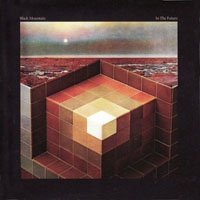 Black Mountain - In the Future