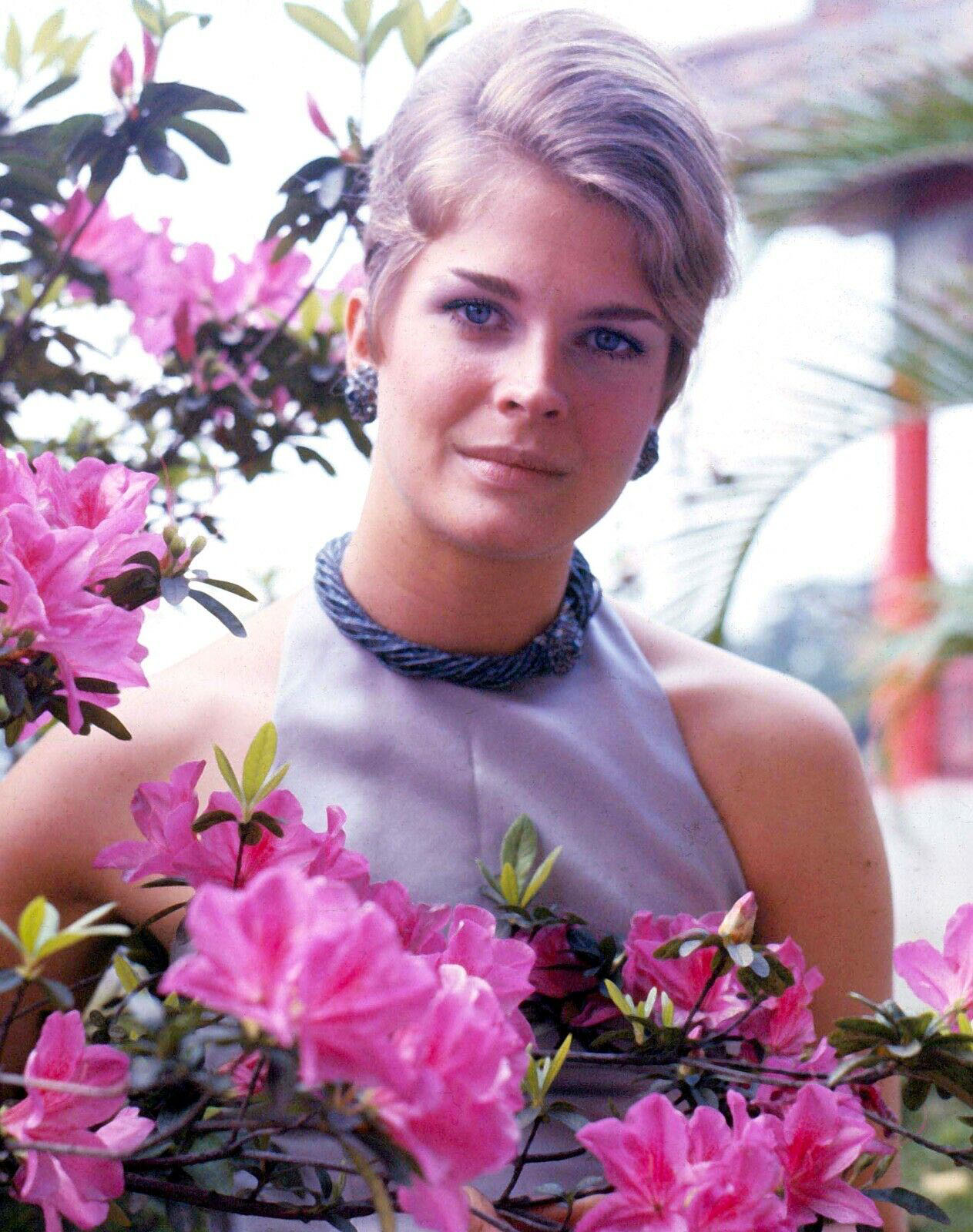 Hollywood Beauty #9: Candice Bergen